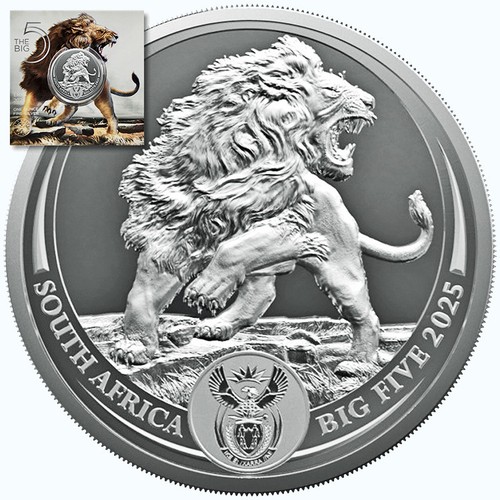 Südafrika rand 2025 big - 5,