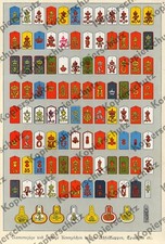 orig. Farbtafel Uniformkunde Kaiserliche Armee Rangabzeichen Namenszüge Rgt 1902