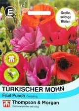Türkischer Mohn 'Fruit Punch'