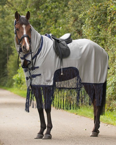 Qhp fliegenausreitdecke mit - qhp,