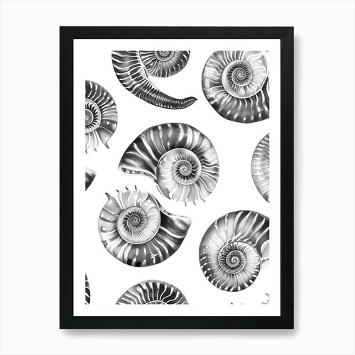 Nautilus muscheln kunstdruck - 1,