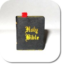 Miniatur Heilige Bibel, Buch