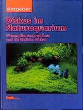 Ratgeber diskusfische - ratgeber, im