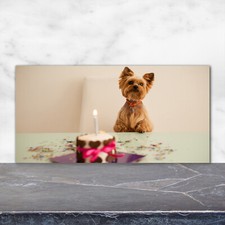 Küchenrückwand Spritzschutz