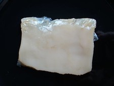 Kombucha Teepilz f 1L  40gr