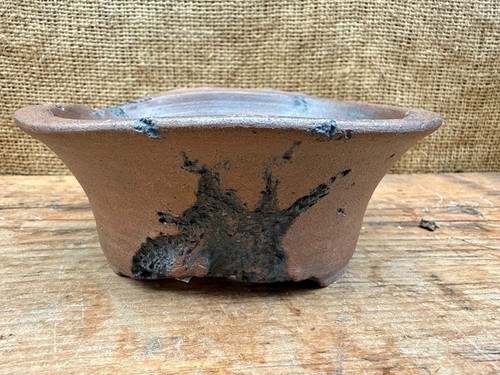 Handgefertigte libelle bonsai - libelle,