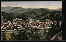 Ansichtskarte Steinen im