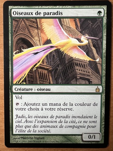 Mtg paradiesvögel ravnica - paradiesvögel, nm