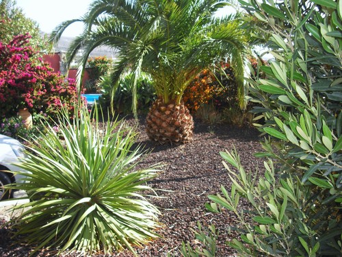 Ferienwohnung teneriffa - ferienwohnung,,
