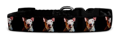Hundehalsband aus textil mit - aus,
