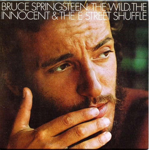 Bruce springsteen the - bruce, wild
