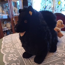 Steiff  Spitz Hund—- K/F---4120 ?/30—-unbespielt—Rarität--Vintage 