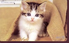 Telefonkarte Japan gut erhalten + unbeschädigt (intern: 761)