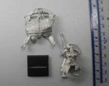 VAMPIRE COUNT STANDARD BEARER