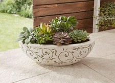 Pflanzschale oval, Pflanzen