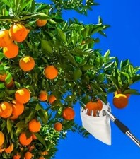 Obstpflücker Praktisches Set für die Obsternte an Baum & Boden mit Teleskopstiel