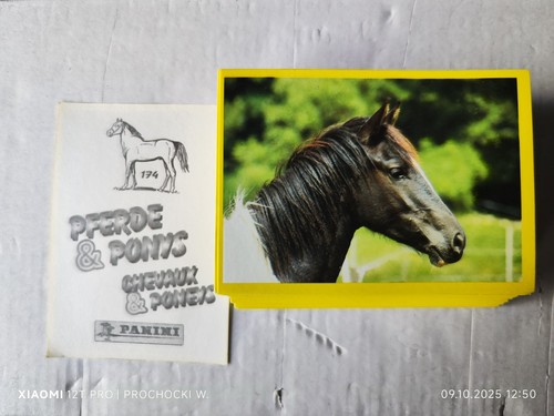 137 sticker pferde ponys - pferde,