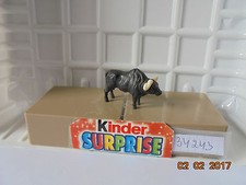 ANGEBOT 34243 / WASSERBÜFFEL