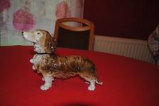 Porzellan,Tier,Hund,Dackel,Gräfenthal