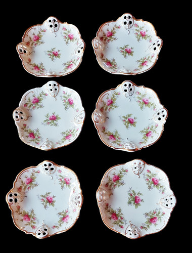 Rosenthal sanssouci moosrose - rosenthal,