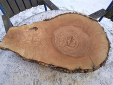 Baumscheibe, Tischplatte Esche