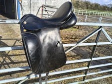 Prestige Top Dressage