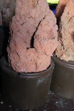 1 Stück Zimmerspringbrunnen aus Tonschaum mit Hydro Topf  klein