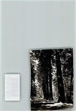 40041609 - 7061 Welzheim Waldspaziergang