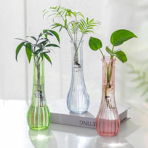 Nuptio glasvasen set 3er - glasvasen,