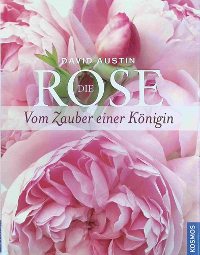 Austin david die rose vom - -,