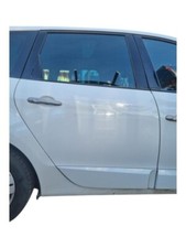 Tür RENAULT Scenic III 1.9