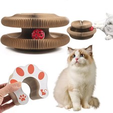 Katze Akkordeon Magische Orgel