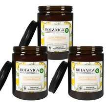 Air Wick Botanica Duftkerze