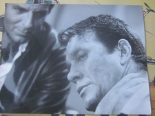 44050 Pressefoto 16x22cm Perry