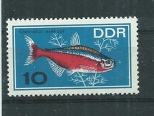 DDR 1966 Zierfische Roter Neon postfrisch** MiNr:1222 10 Pfennig