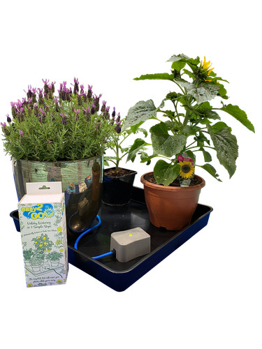 Autopot easy2go kit - autopot,
