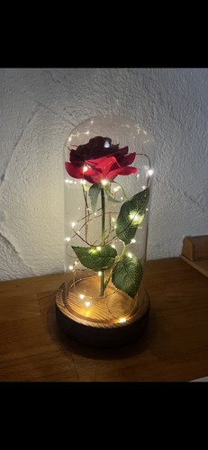 Rose beleuchtung die schöne - beleuchtung,