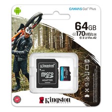 4K Kingston Canvas Go Plus