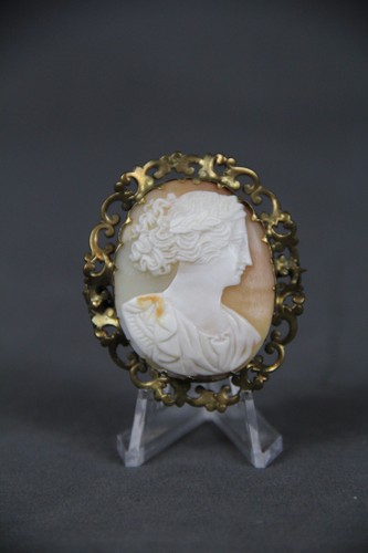 Brosche schmuck kamee - brosche,