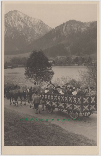 Schliersee pferdekutsche - schliersee,