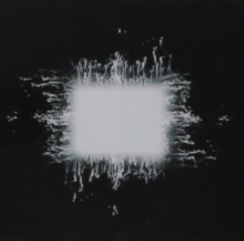Tool aenima brand new - aenima, new*