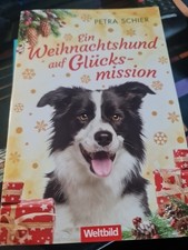 Ein Weihnachtshund auf