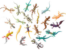 Blue Ocean Geckos – Planet