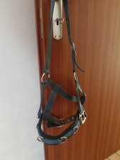 Kappzaum (Waldhausen) Gr Pony