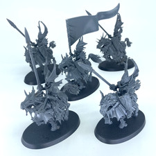 Hochelfen Drachenprinzen -