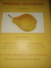 Deutsche Obstsorten umfangreiche Dokumentation Zentralstelle für Sortenwesen 