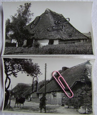 Rügen,Mönchgut Dorfstraße und Fischerhaus,2 Orig.Fotos 9x15cm,Fotograf Max Ehler