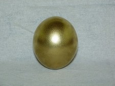 Straußenei Farbe Gold