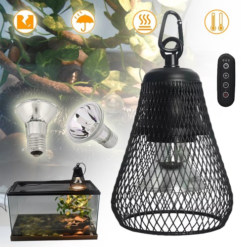 Reptilien terrarium dome mit - reptilien,