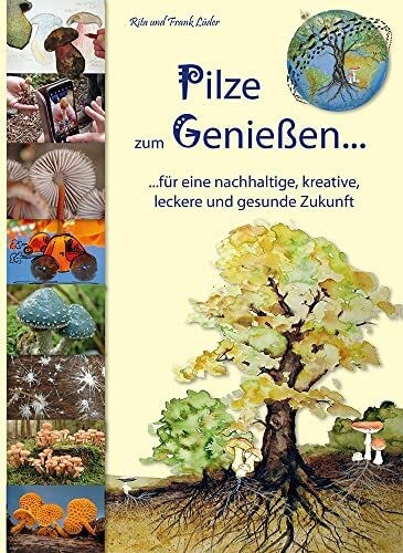 Pilze zum genießen das - pilze,